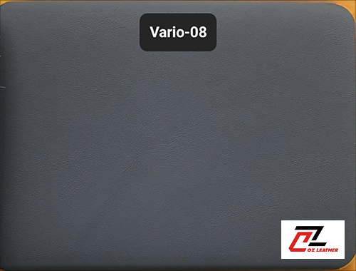 Da Vario